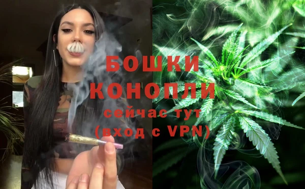 молекула духа Аркадак