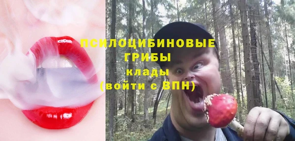 mix Алексин
