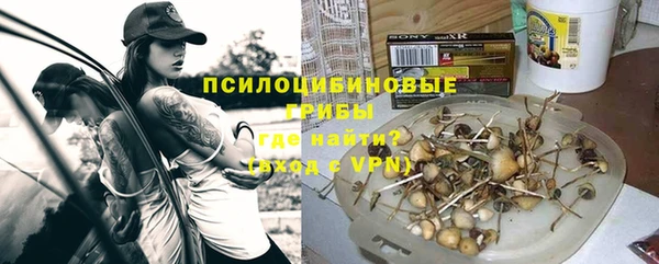 Альфа ПВП Арсеньев